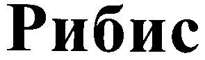 рибис