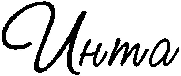 инта
