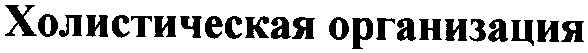 холистическая организация