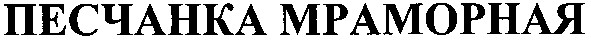 песчанка мраморная