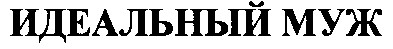 идеальный муж