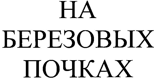 на березовых почках