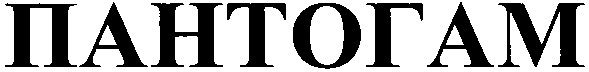 пантогам