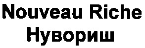 nouveau riche нувориш