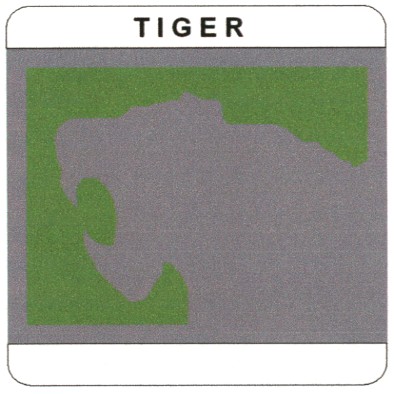 tiger