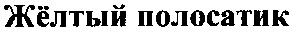 желтый полосатик