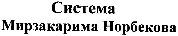 система мирзакарима норбекова