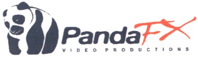 video productions