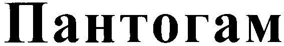 пантогам