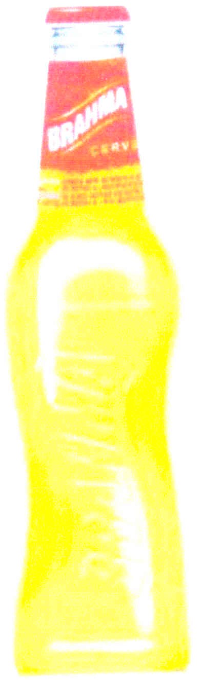 brahma