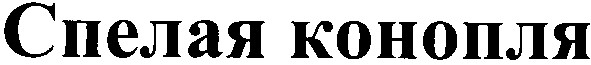 спелая конопля