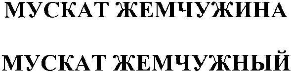 мускат жемчужина