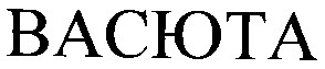 васюта