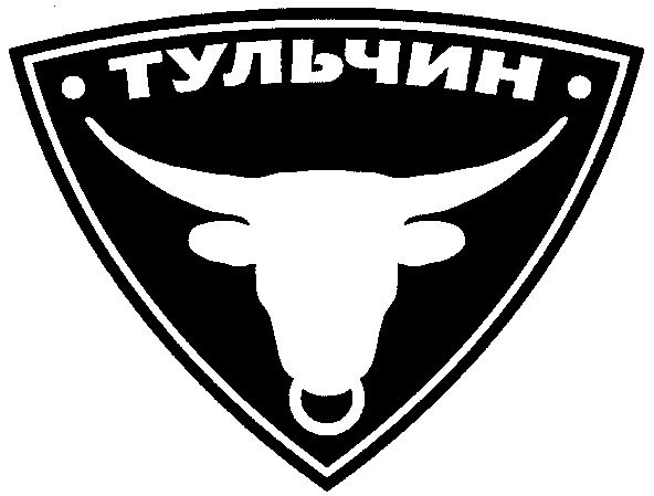 тульчин