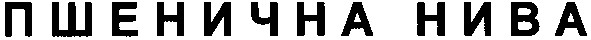 пшенична нива
