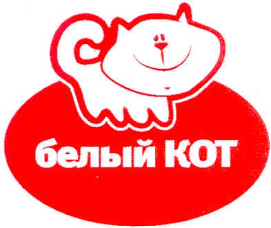 белый кот