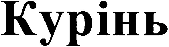 курінь
