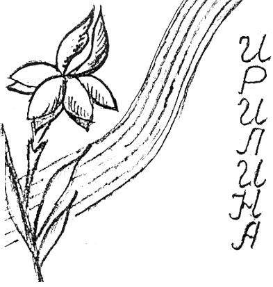 ирилина