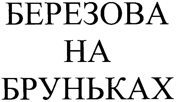 березова на бруньках