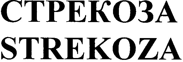 стрекоза