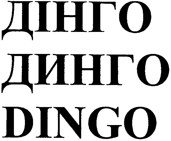 дінго