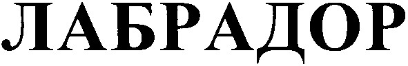 лабрадор