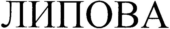 липова
