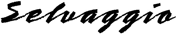 selvaggio