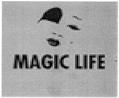 magic life