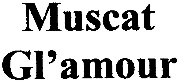 muscat gl`amour