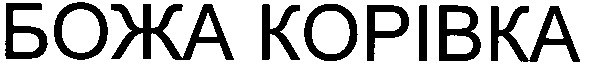 божа корівка