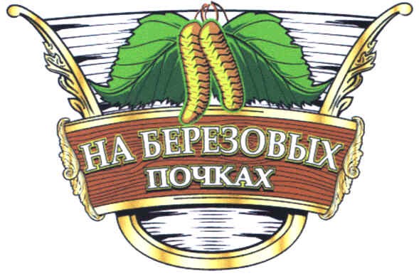 на березовых почках