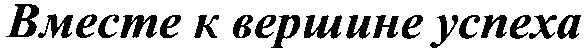 вместе к вершине успеха