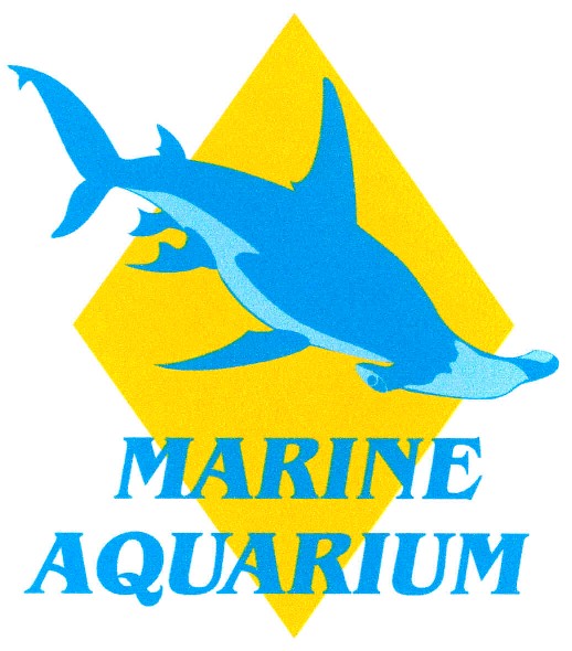 marine aquarium