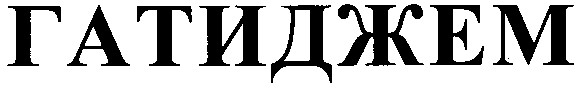 гатиджем