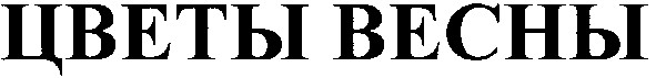 цветы весны