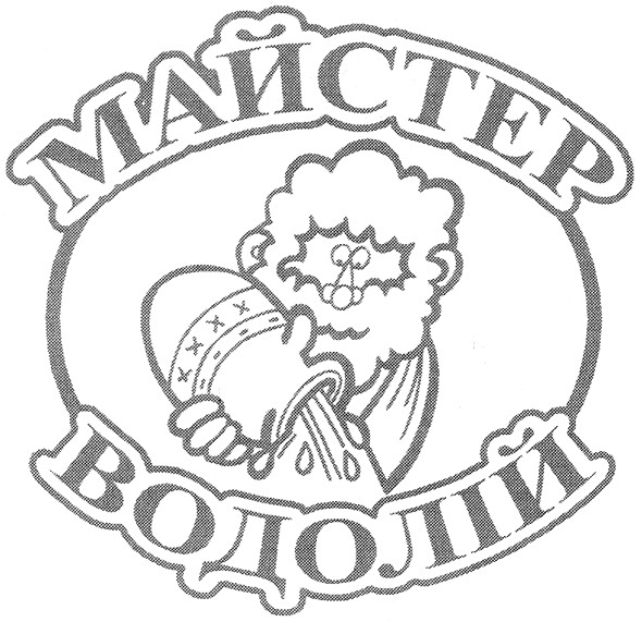 майстер водолій