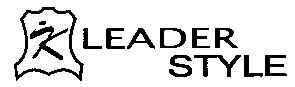 leader style