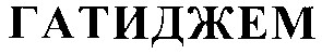 гатиджем