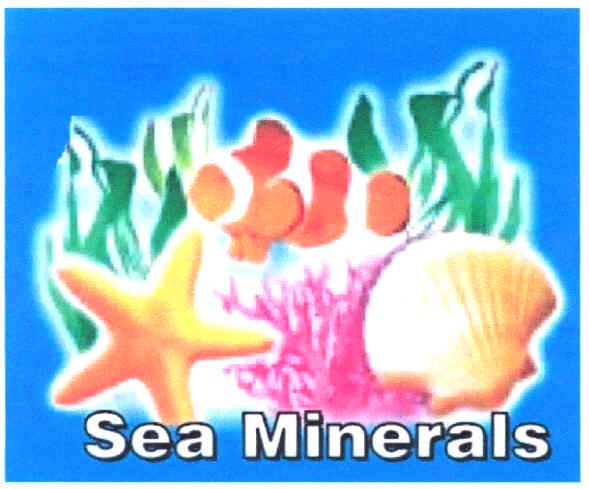 sea minerals