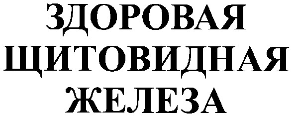 здоровая щитовидная железа