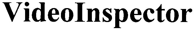 video inspector