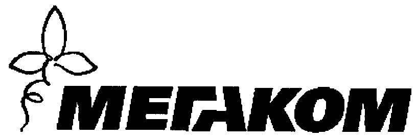 мегаком