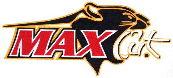 max cut