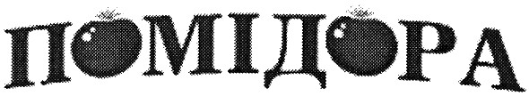 помідора