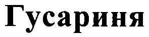гусариня