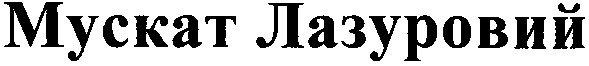 мускат лазуровий