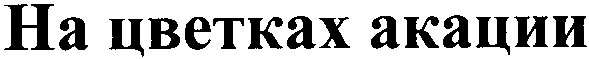 на цветках акации