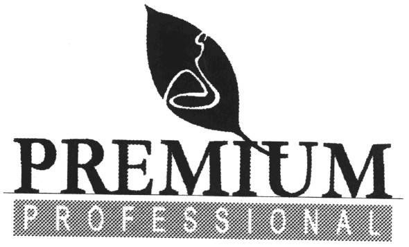 professional