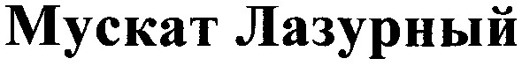 мускат лазурный